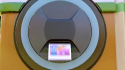 انیمیشن سانی بانیز قسمت 279 - sunny bunnies